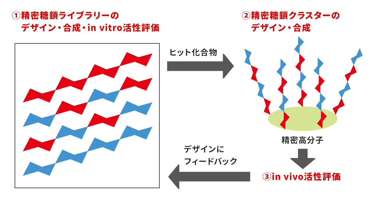 計画研究 A02　精密糖鎖合成を基盤とした次世代創薬モダリティーの創出