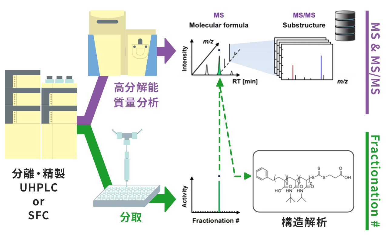 計画研究 A04　精密分離精製プロファイリングシステムを基盤とした次世代創薬モダリティーの創出