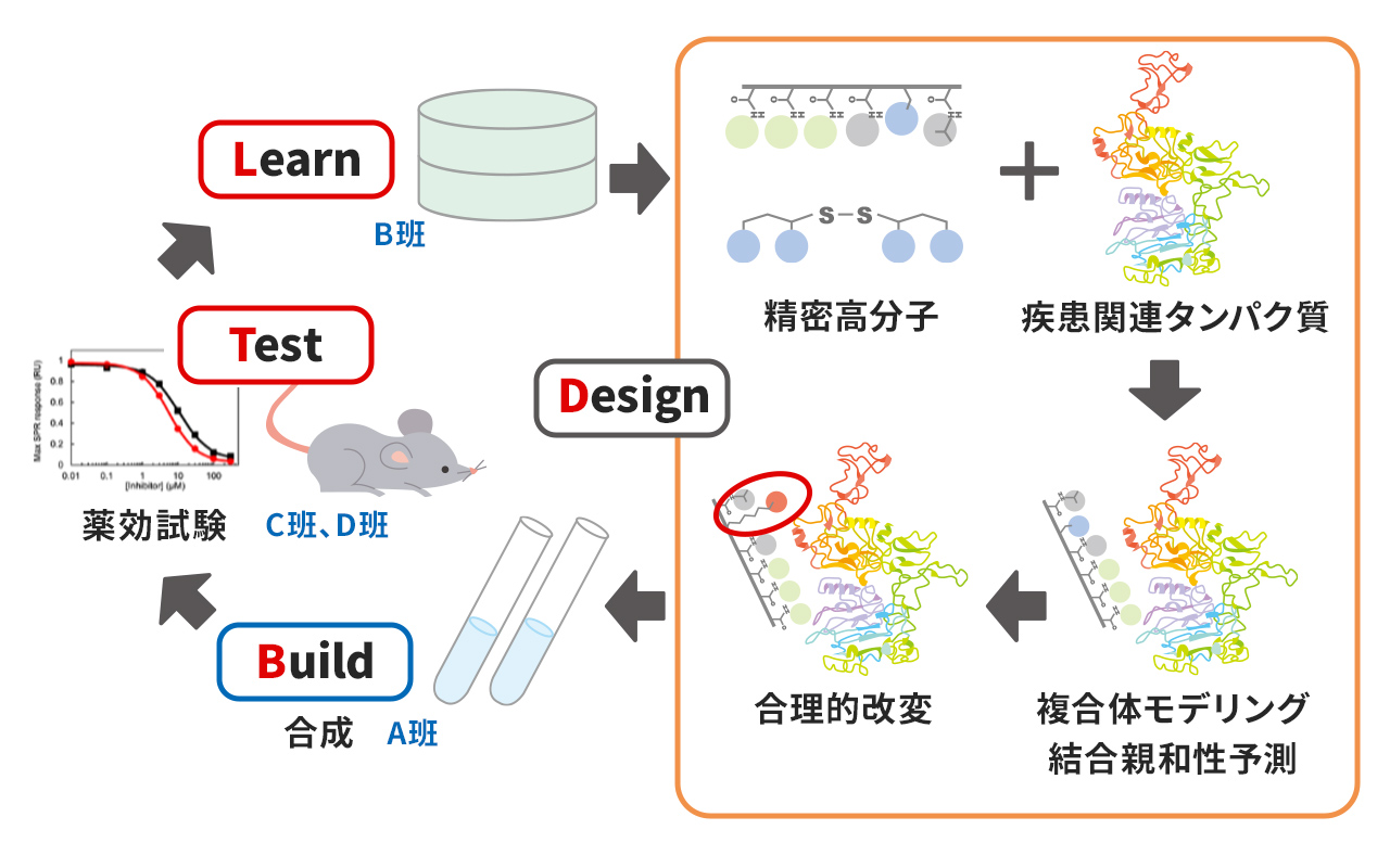 計画研究 B01　タンパク質データ科学に基づく精密高分子医薬の合理的設計
