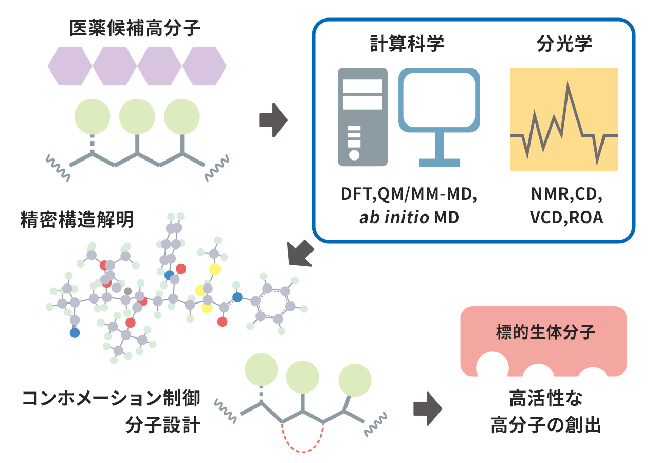 計画研究 B03　計算科学と分光学による高分子のコンホメーション分析・予測・制御法の創出