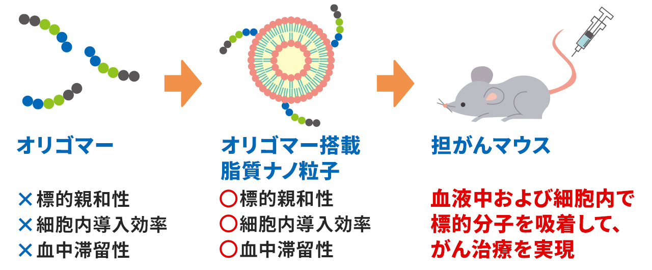 計画研究 D01　がん治療を可能とする精密高分子医薬の開発