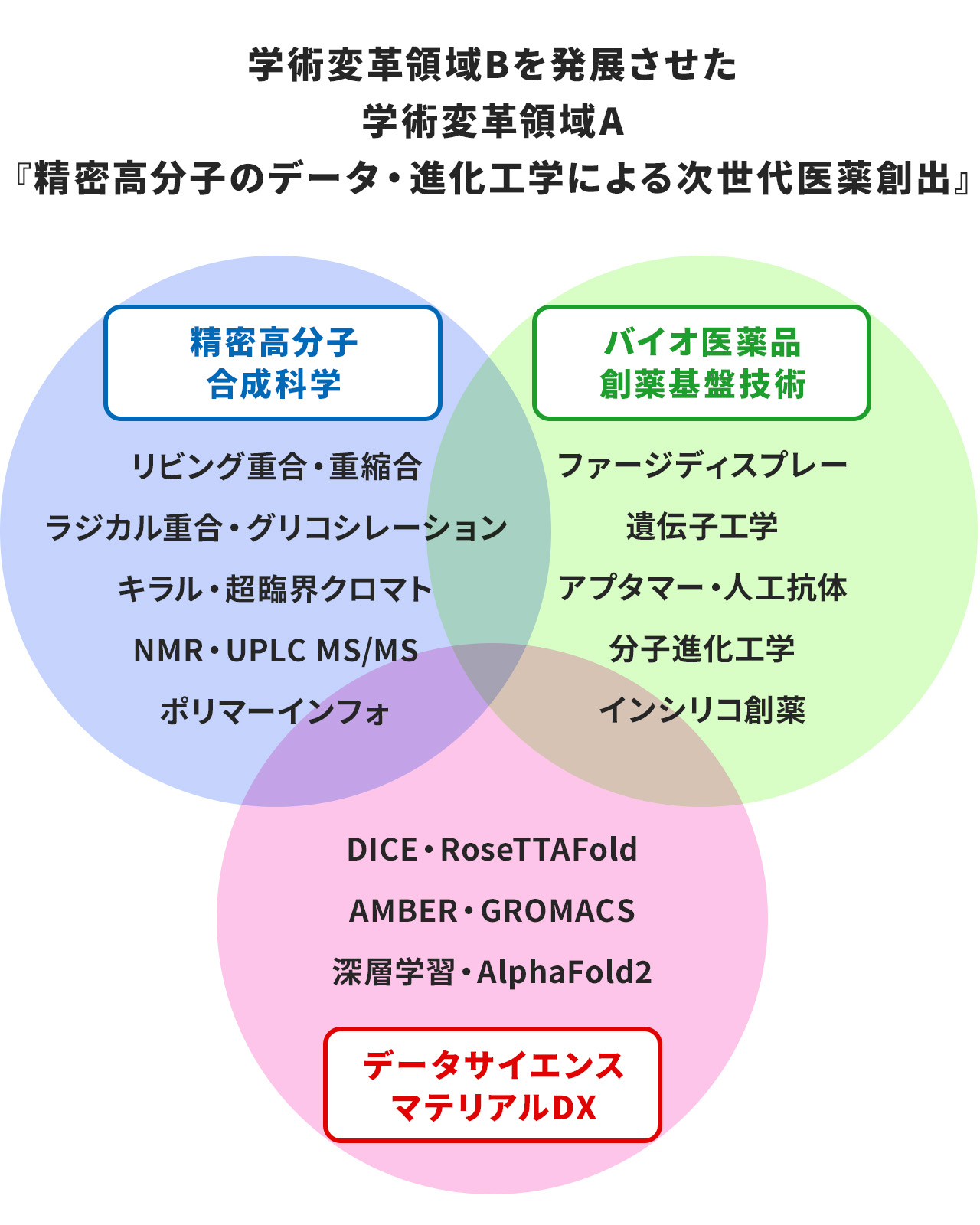 領域について
